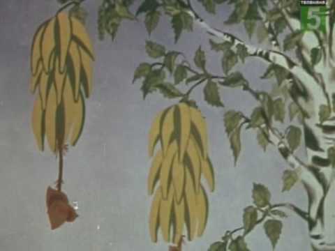 ���������� Nu Pogodi - The lost episodes! pt. 1